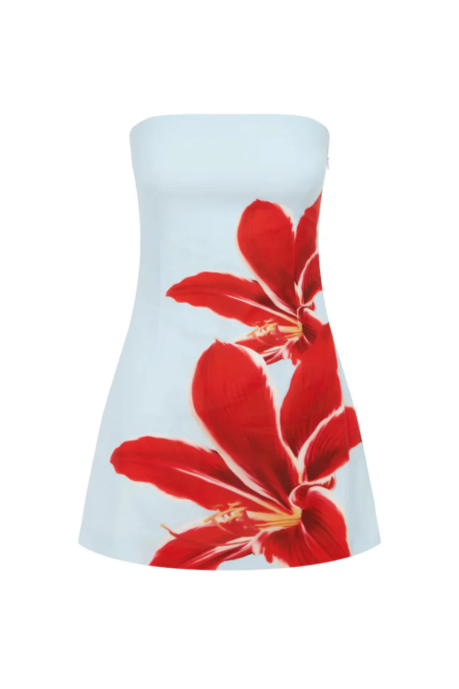 Runaway The Label Primrose Mini Dress in Red Lily – She Selected