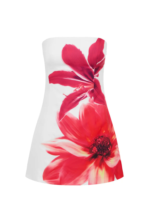 Runaway The Label Primrose Mini Dress in Tropical Flower
