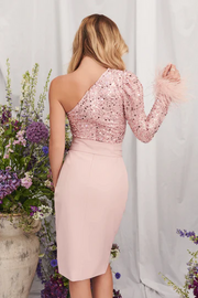 Lavish alice sequin embellished midi deals dress